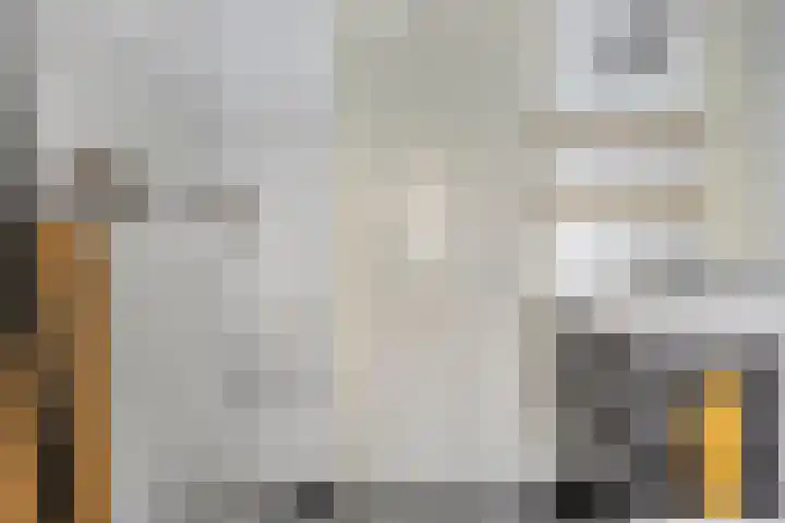Brunel 19 Meppel thumbnail 29