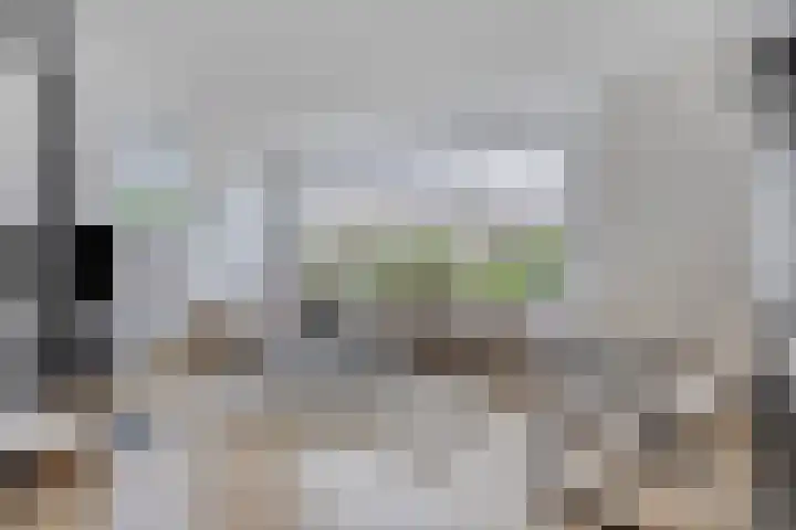 Brunel 19 Meppel thumbnail 7