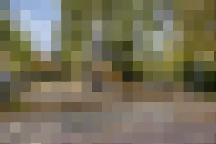 Brunel 45 Kampen thumbnail 31