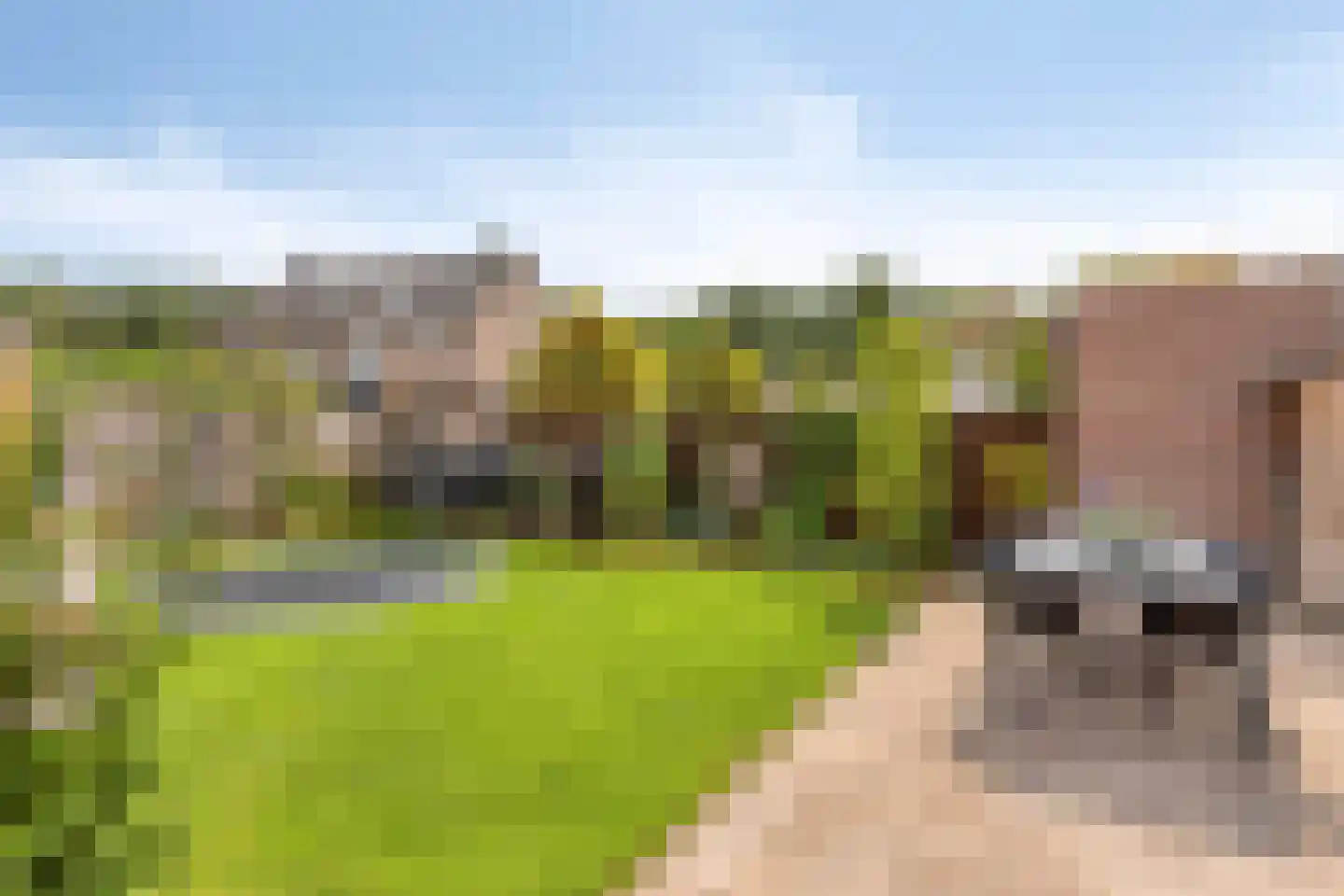 Brunel 5 Best thumbnail 34