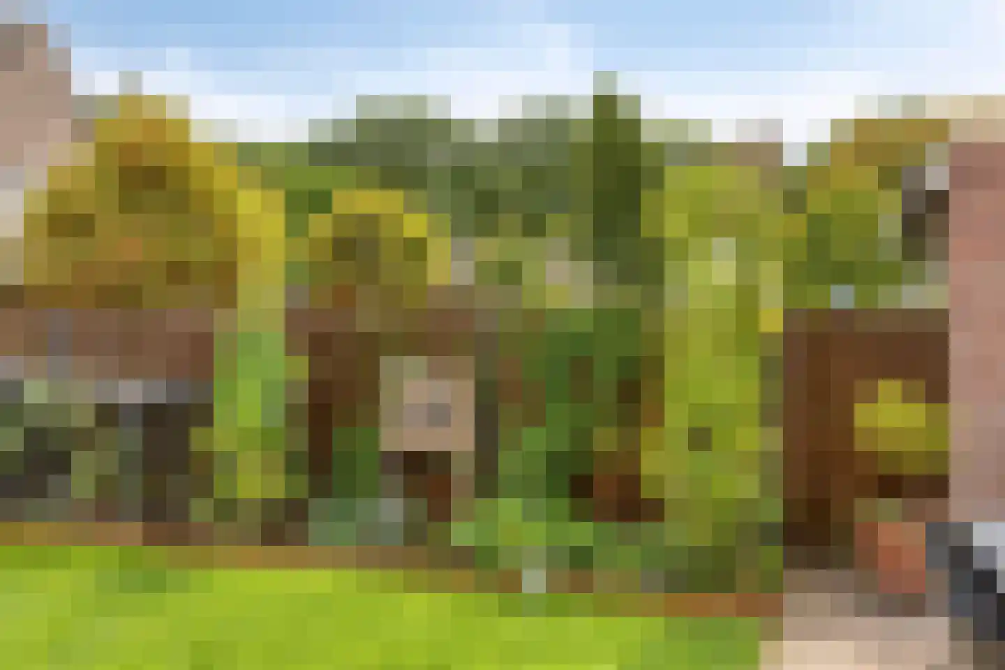 Brunel 5 Best thumbnail 35