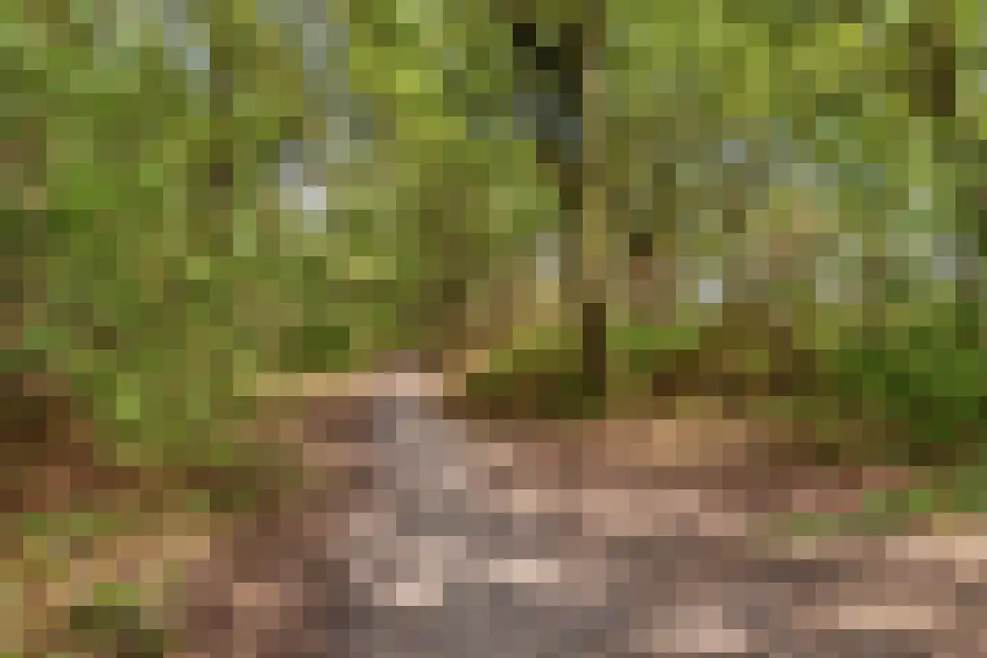 Brunel 5 Best thumbnail 41