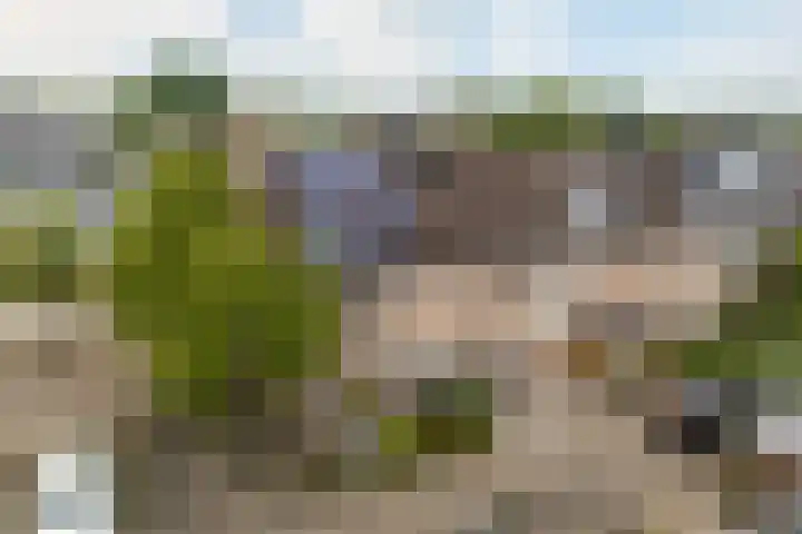 Brunel 54 IJsselstein thumbnail 38