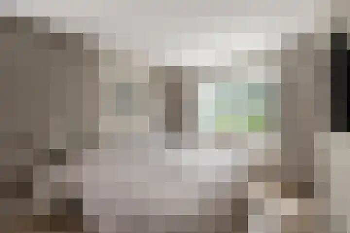 Brunel 7 Uithoorn thumbnail 17