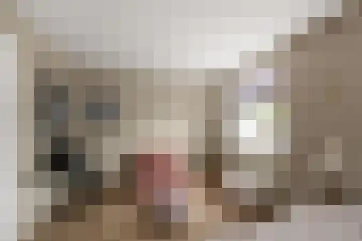 Brunel 7 Uithoorn thumbnail 18