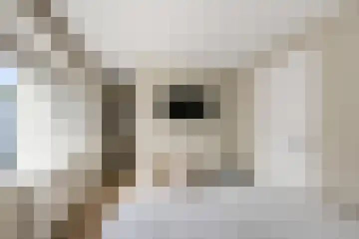Brunel 7 Uithoorn thumbnail 25