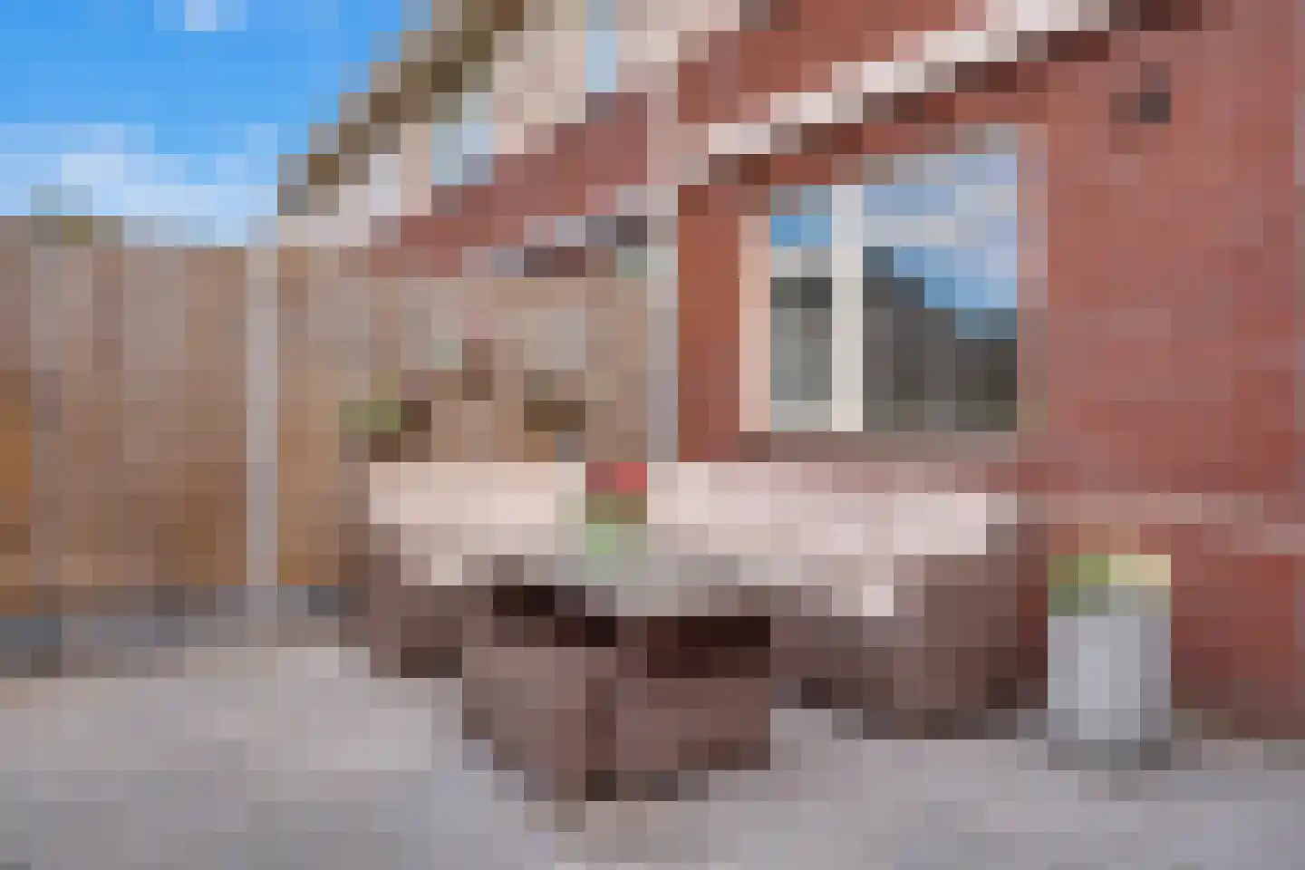 Brunel 9 Nijverdal thumbnail 32