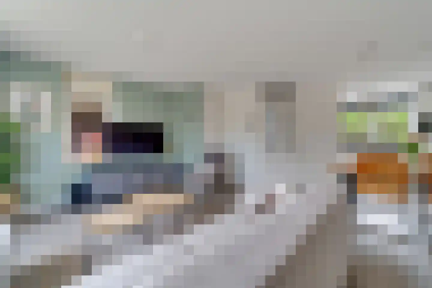 Brunel 9 Nijverdal thumbnail 8