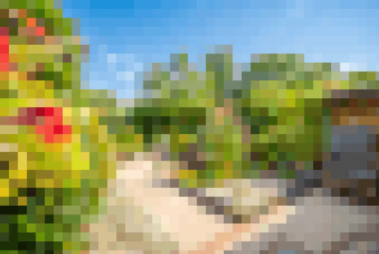 Brunelkamp 14 Leiderdorp thumbnail 15