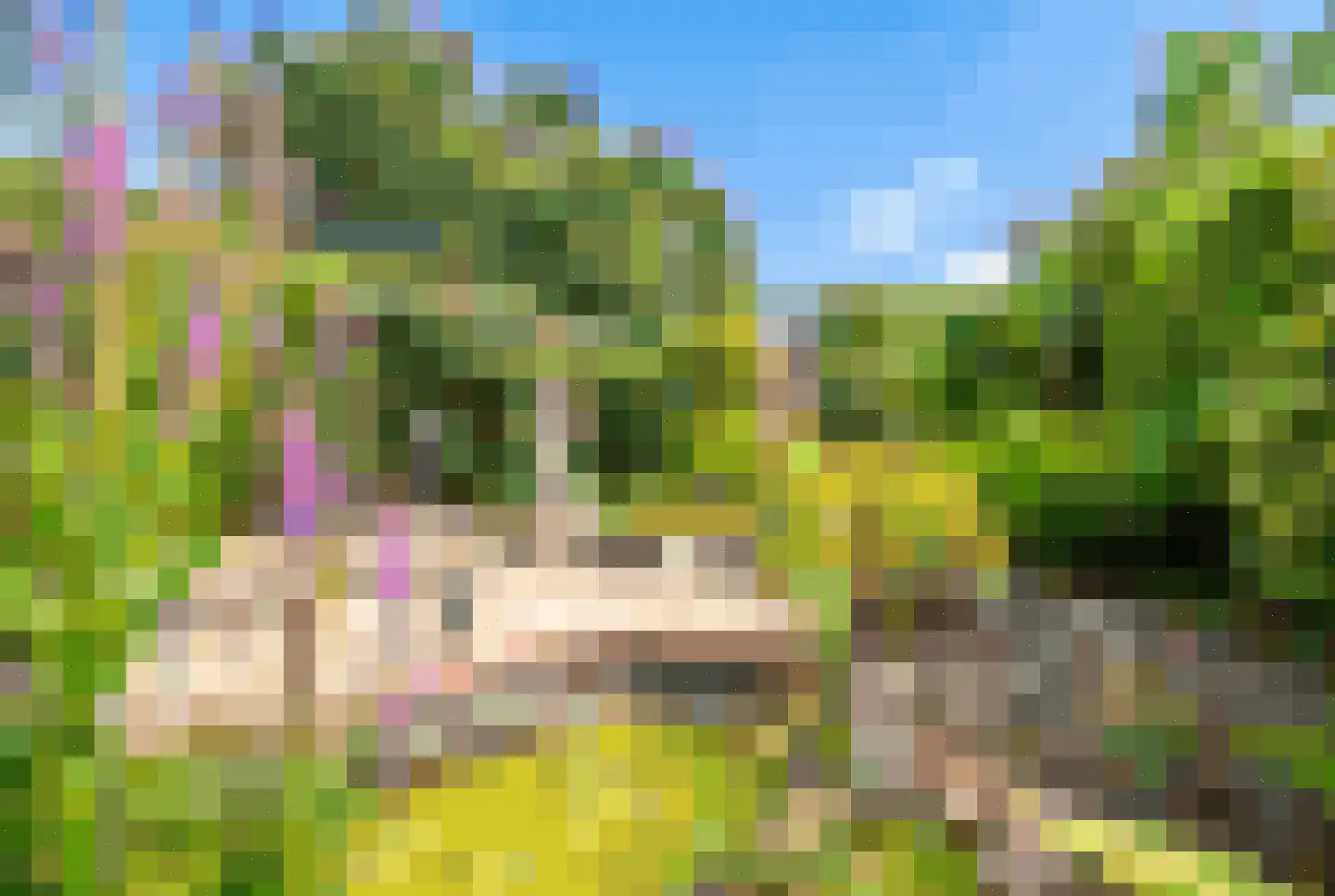 Brunelkamp 14 Leiderdorp thumbnail 16
