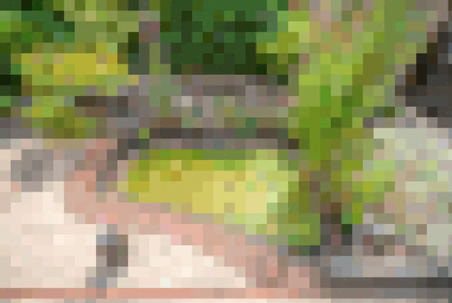 Brunelkamp 14 Leiderdorp thumbnail 17