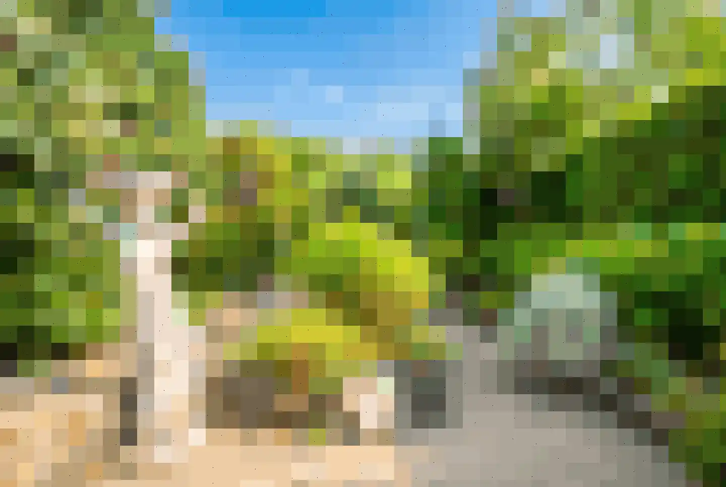 Brunelkamp 14 Leiderdorp thumbnail 18