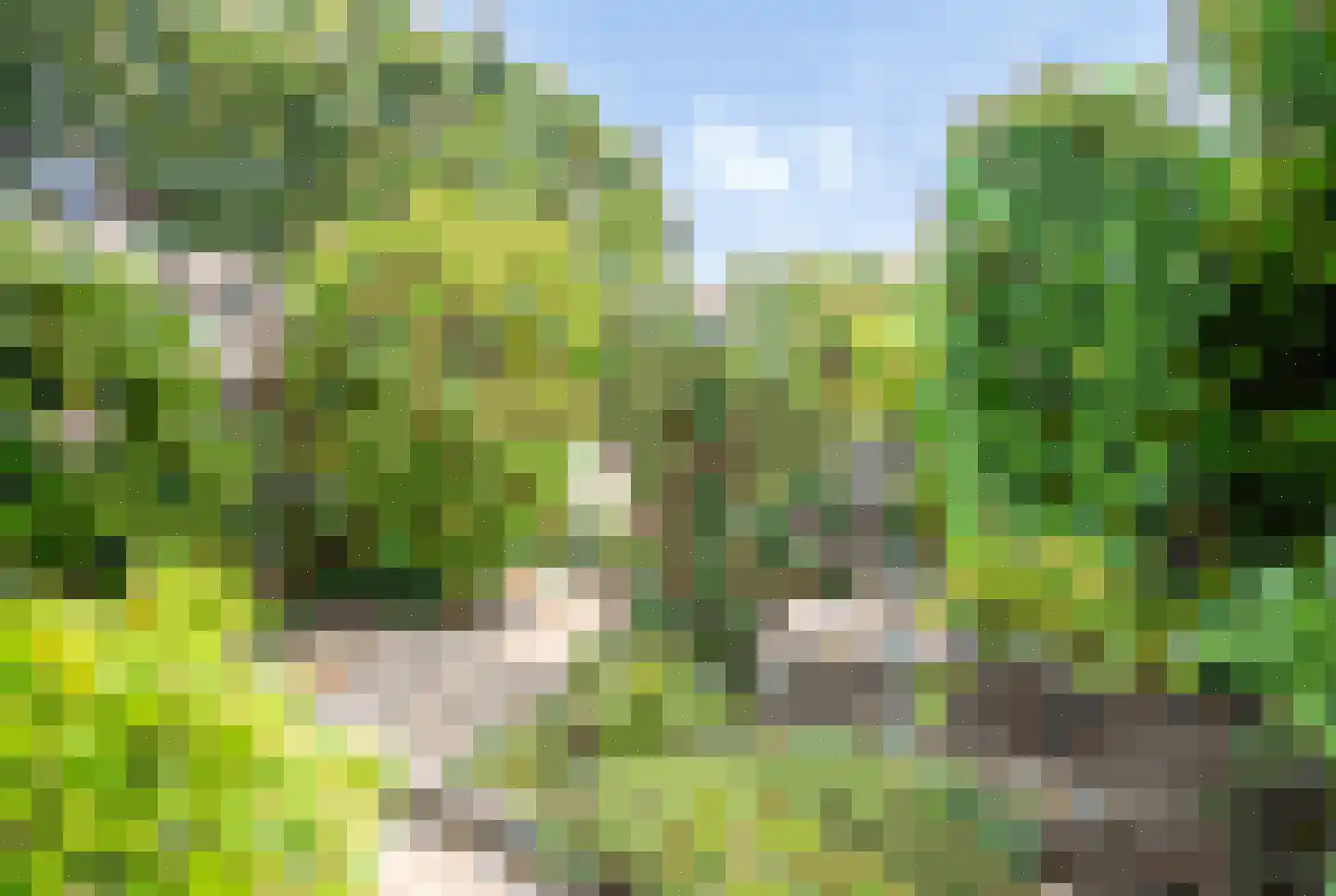 Brunelkamp 14 Leiderdorp thumbnail 19