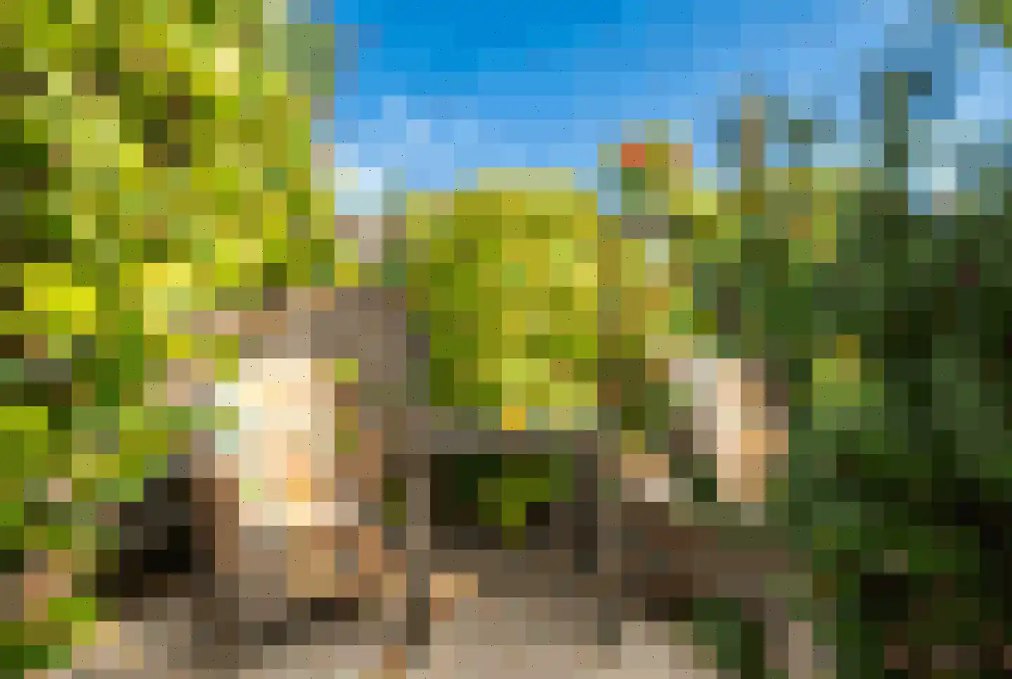 Brunelkamp 14 Leiderdorp thumbnail 20