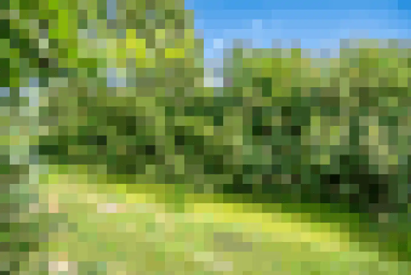 Brunelkamp 14 Leiderdorp thumbnail 22