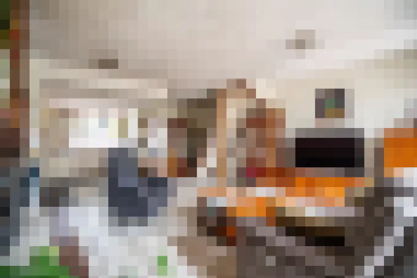 Brunelkamp 14 Leiderdorp thumbnail 27