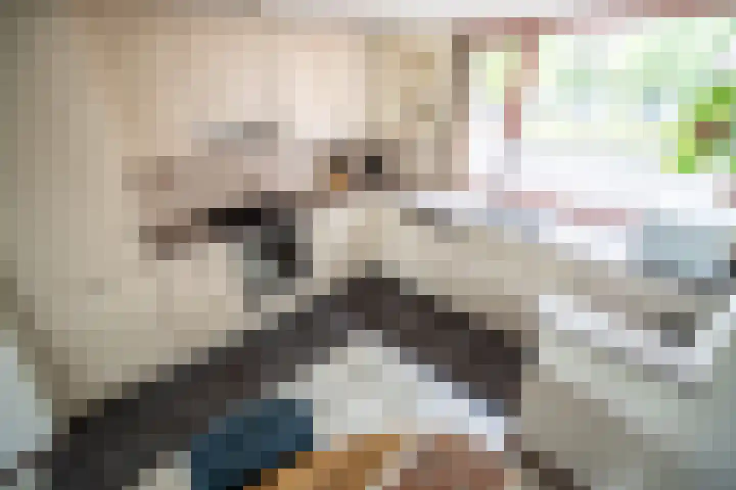 Brunelkamp 14 Leiderdorp thumbnail 28