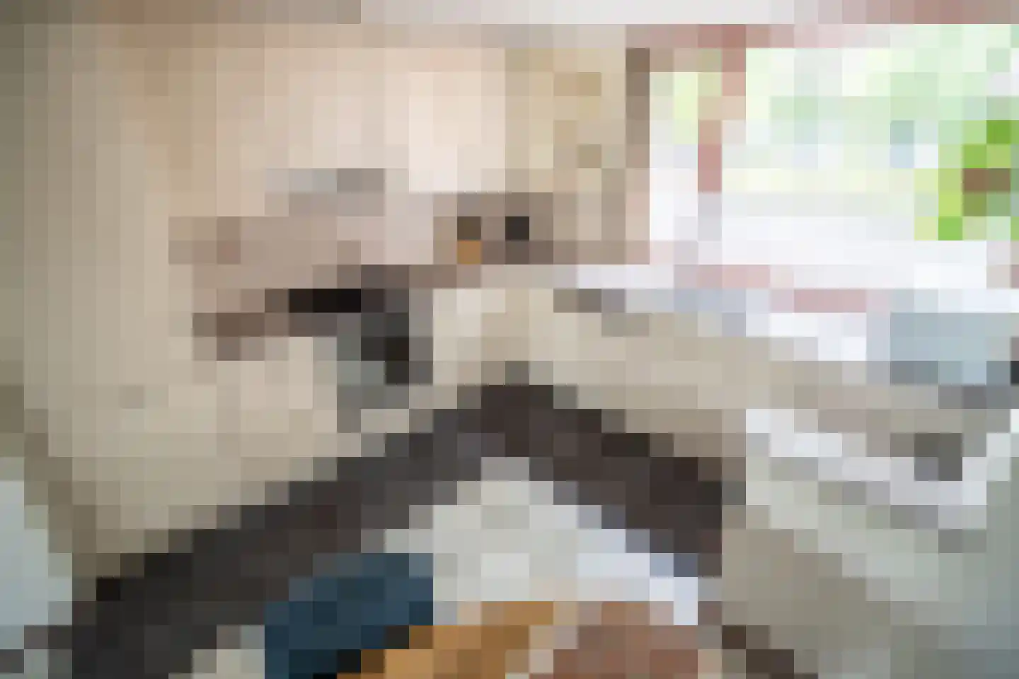 Brunelkamp 14 Leiderdorp thumbnail 29