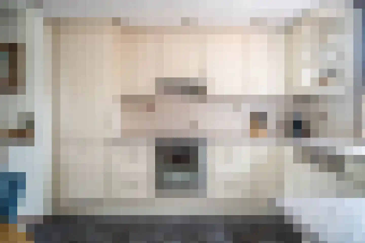 Brunelkamp 14 Leiderdorp thumbnail 30