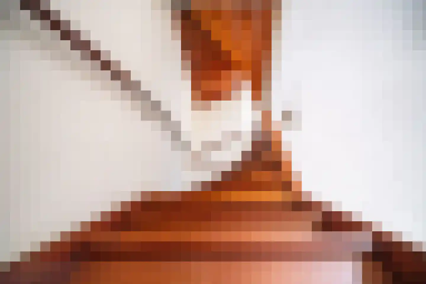 Brunelkamp 14 Leiderdorp thumbnail 36