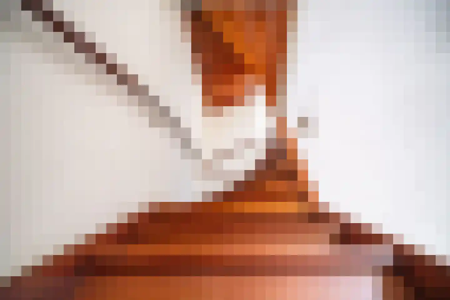 Brunelkamp 14 Leiderdorp thumbnail 37