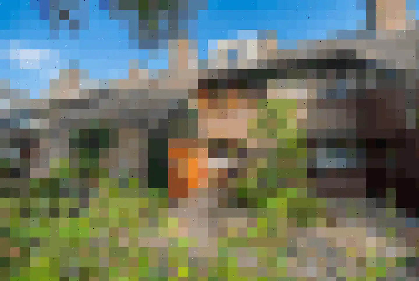Brunelkamp 14 Leiderdorp thumbnail 4