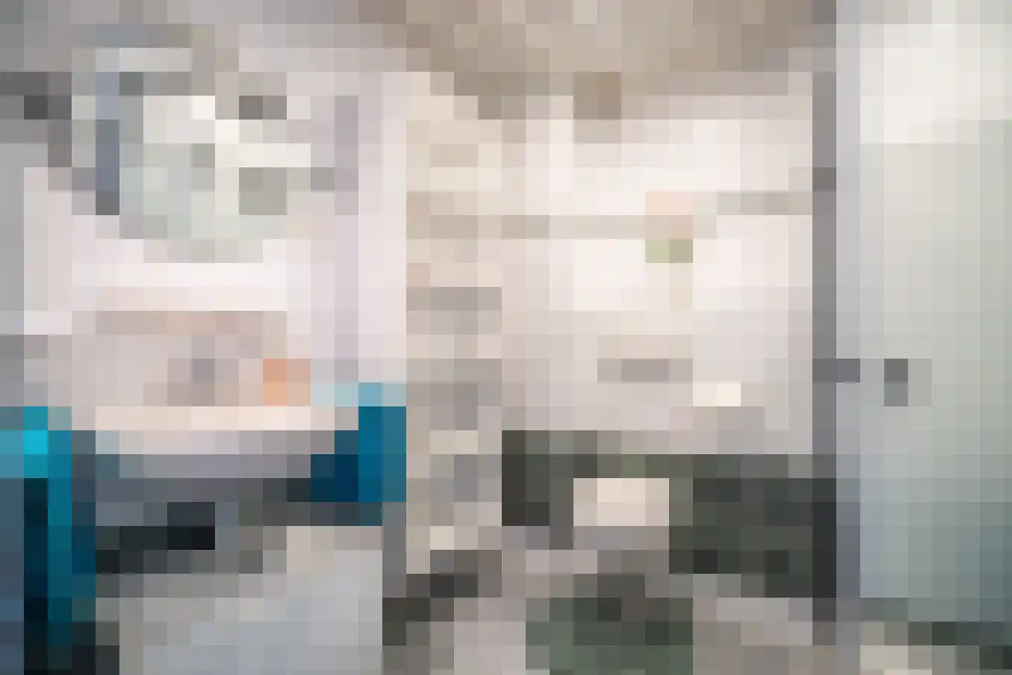 Brunelkamp 14 Leiderdorp thumbnail 49
