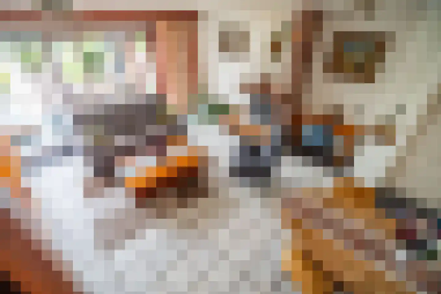 Brunelkamp 14 Leiderdorp thumbnail 5