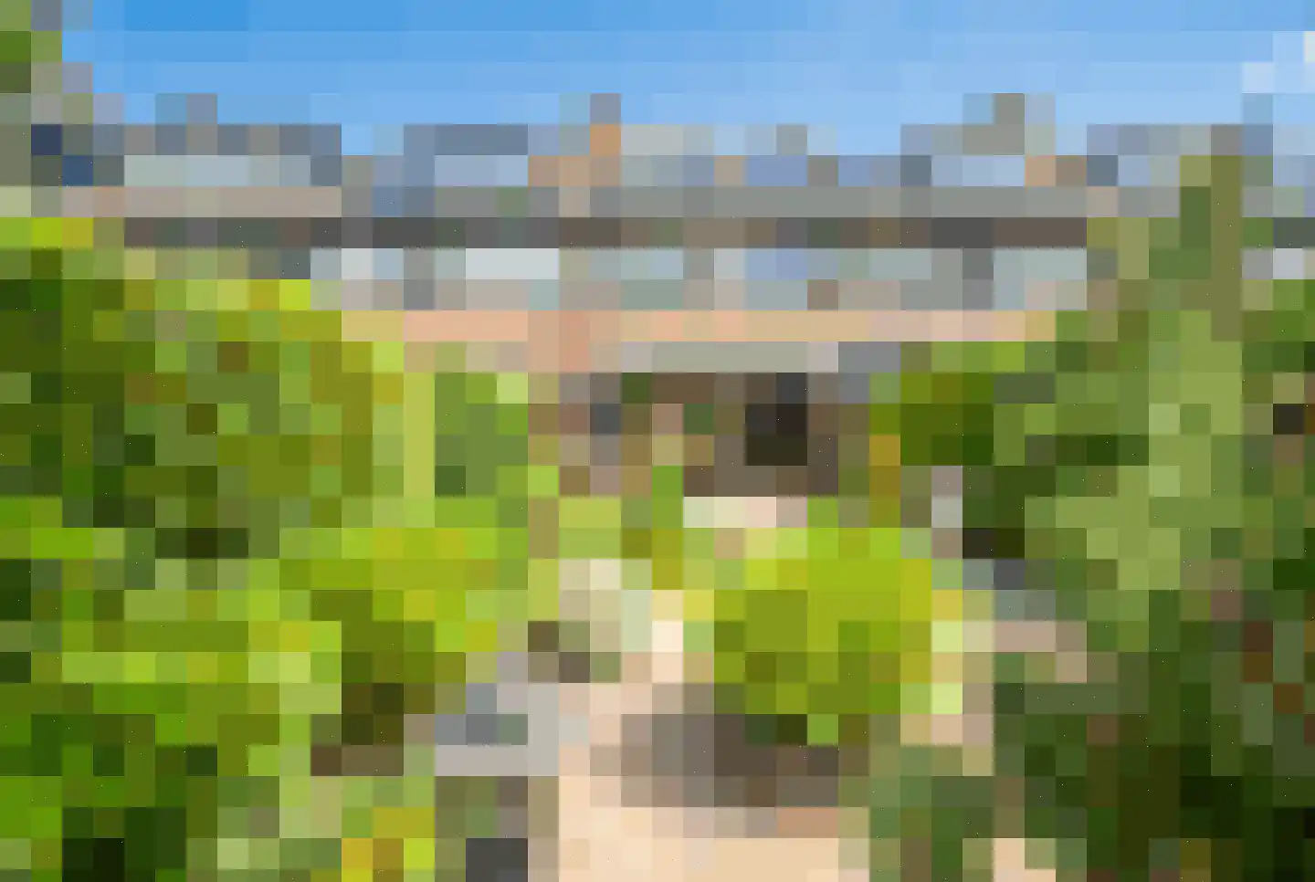 Brunelkamp 14 Leiderdorp thumbnail 5