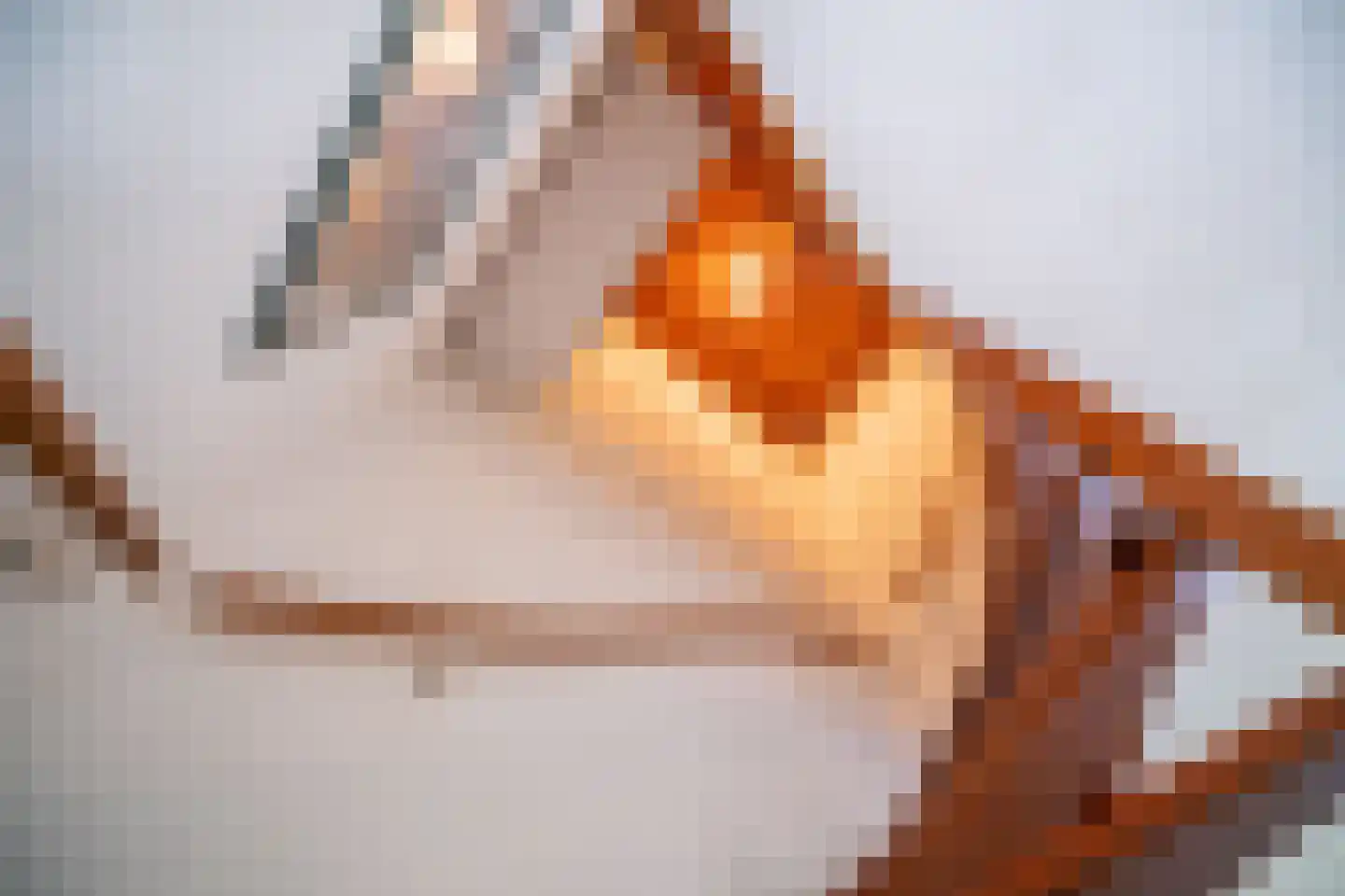 Brunelkamp 14 Leiderdorp thumbnail 52