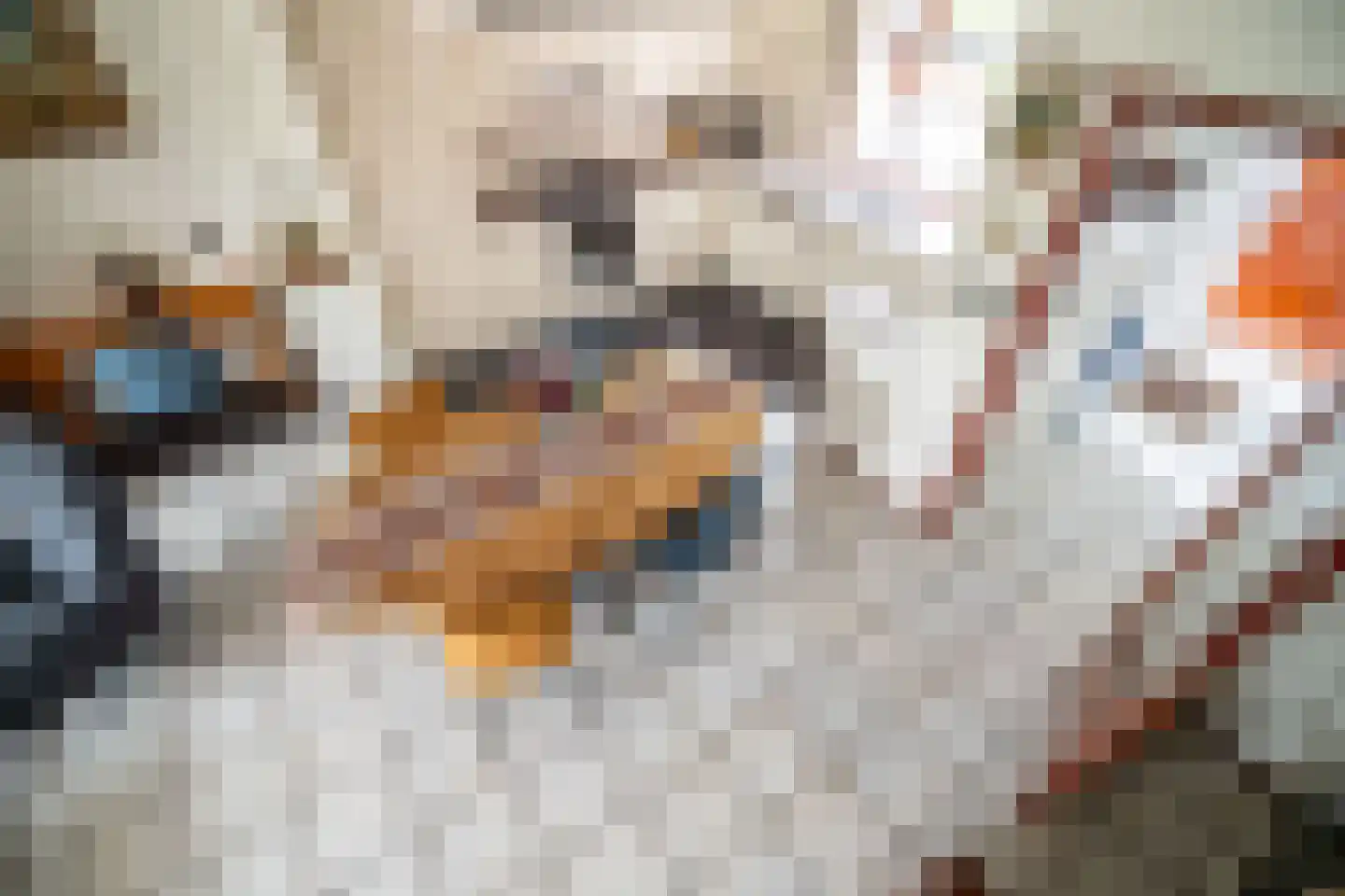 Brunelkamp 14 Leiderdorp thumbnail 6