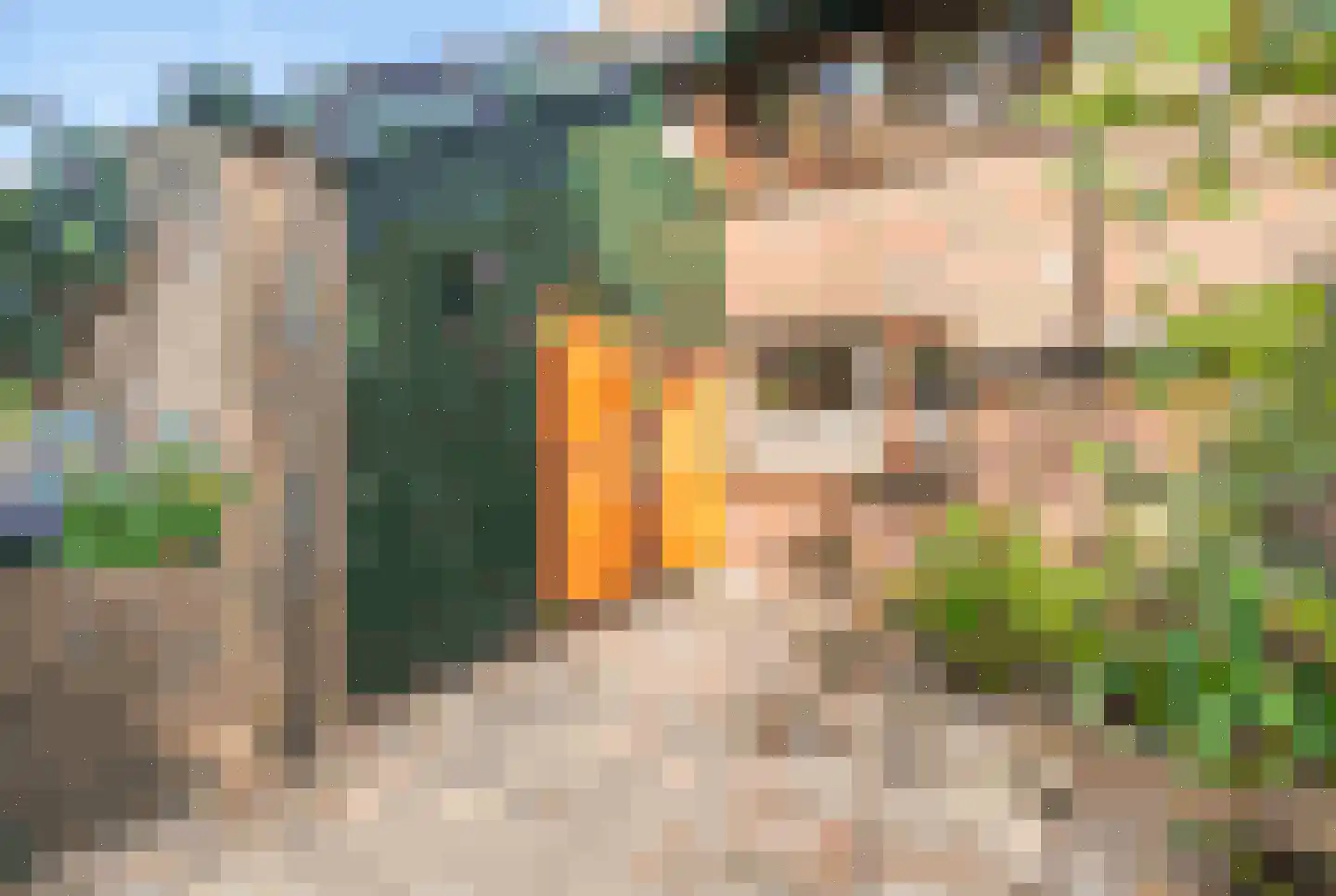 Brunelkamp 14 Leiderdorp thumbnail 60