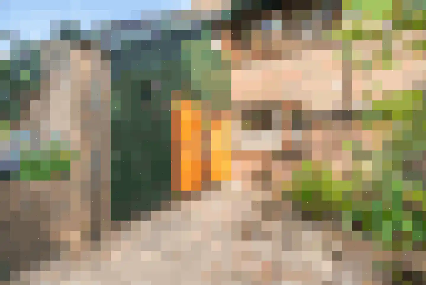 Brunelkamp 14 Leiderdorp thumbnail 61