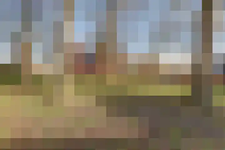 Brunellaan 6 Leerdam thumbnail 48