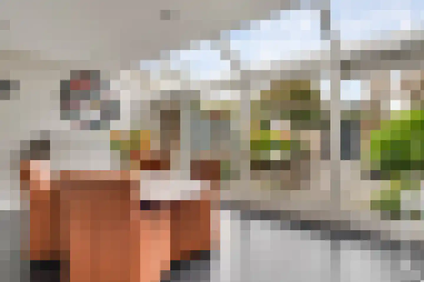 Brunellastraat 14 Maarheeze thumbnail 5