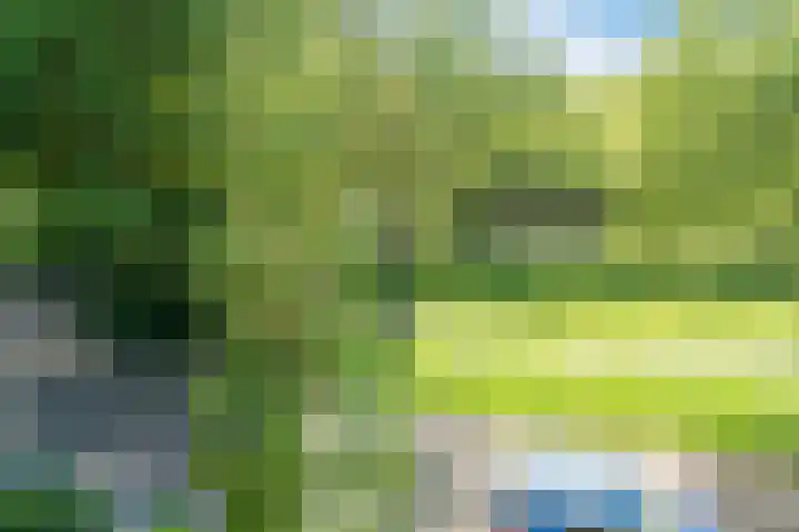 Brunelleschiweg 8 Eindhoven thumbnail 35