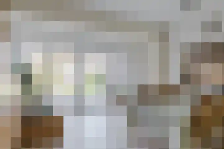 Brunelleschiweg 8 Eindhoven thumbnail 9