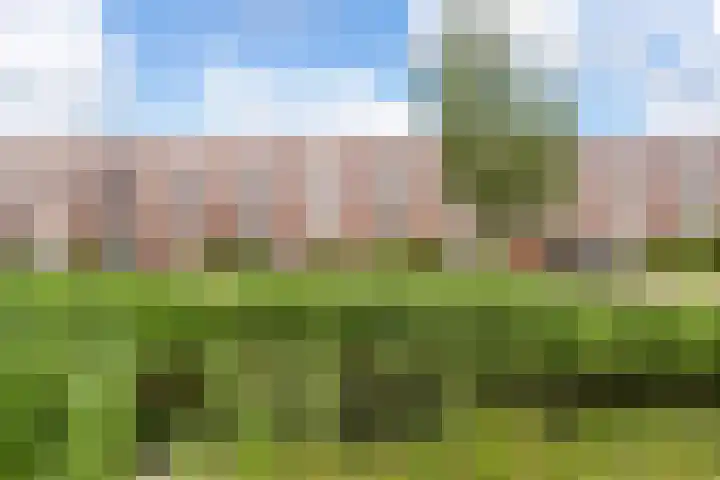 Brunelsingel 70 Arnhem
