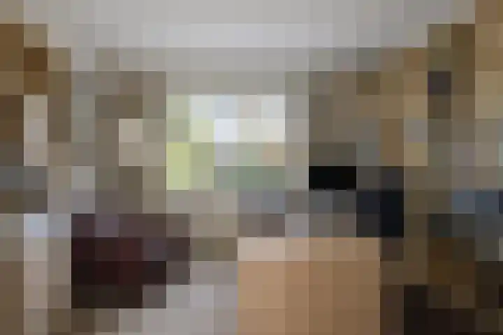 Brunelstraat 1 Beuningen Gld thumbnail 18