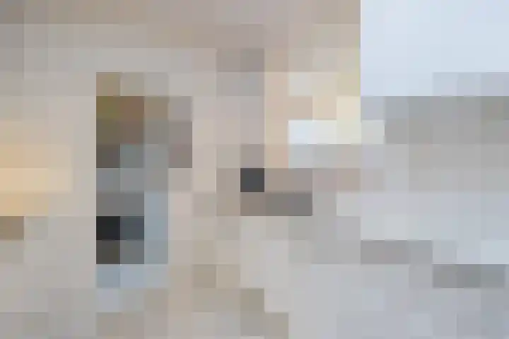 Brunelstraat 15 Assen thumbnail 18