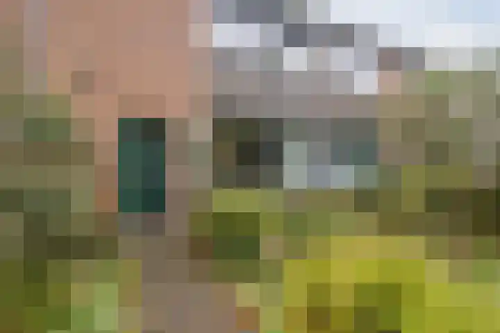 Brunelstraat 15 Assen thumbnail 4