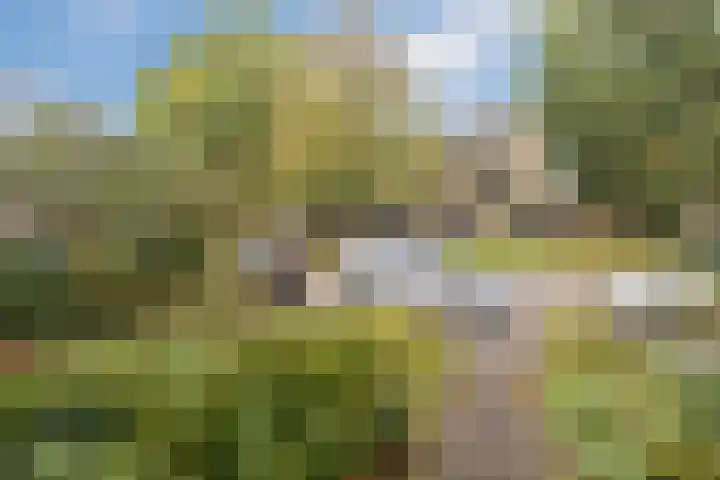Brunelstraat 15 Assen thumbnail 7