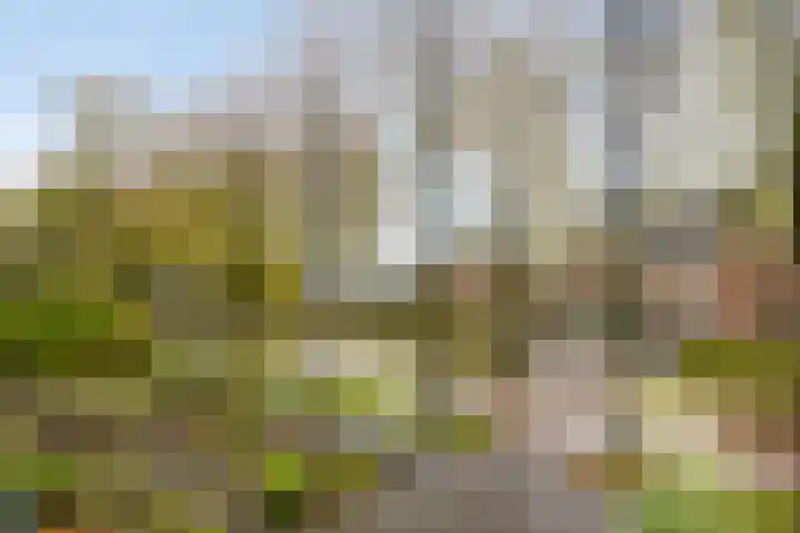 Brunelstraat 28 Assen thumbnail 35