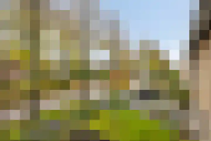 Brunelstraat 28 Assen thumbnail 36