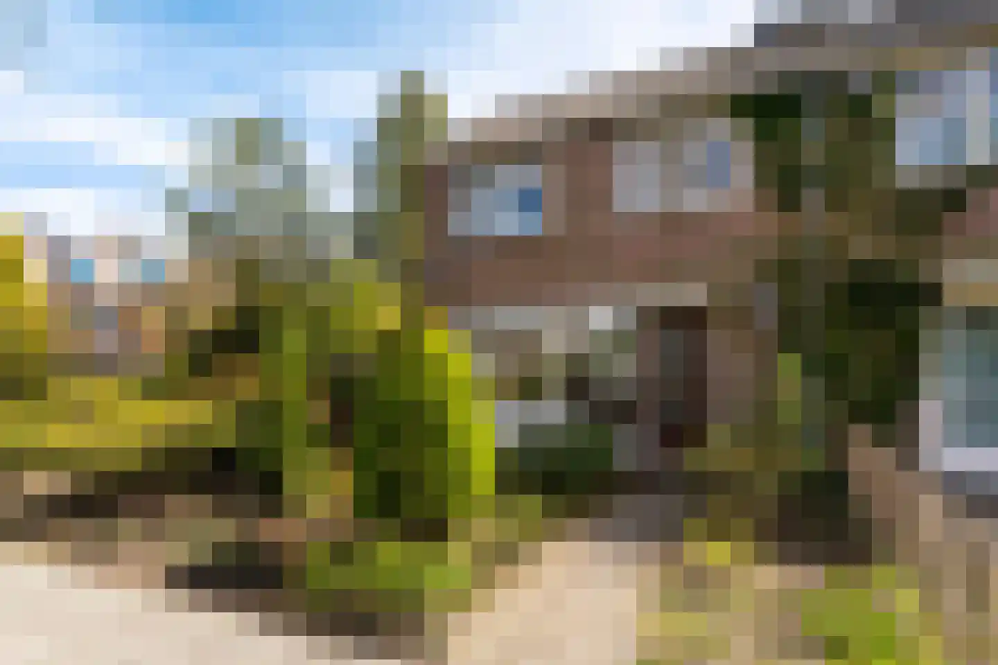 Brunelstraat 81 Assen thumbnail 4