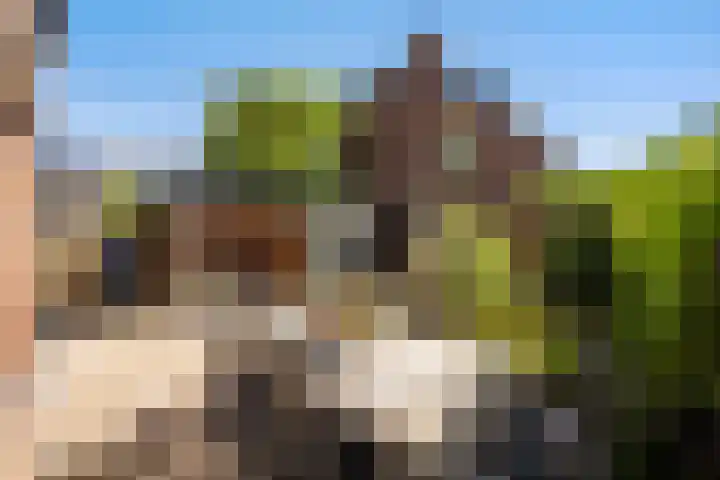 Brunelweg 13 Zwolle thumbnail 12