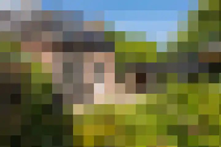 Brunelweg 13 Zwolle thumbnail 4
