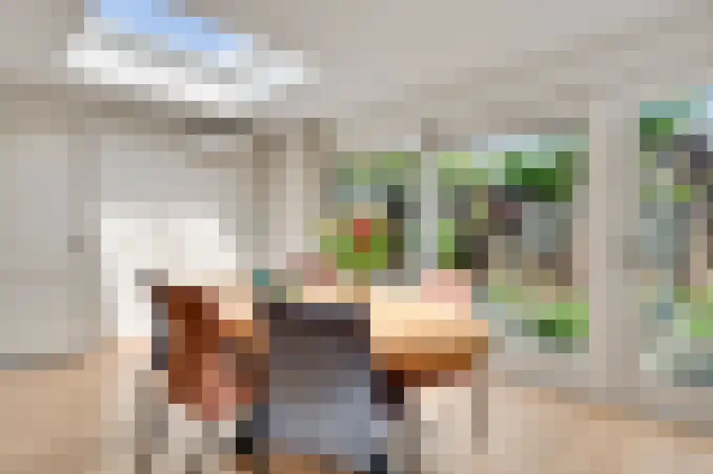 Brunenberghof 7 Weert thumbnail 14