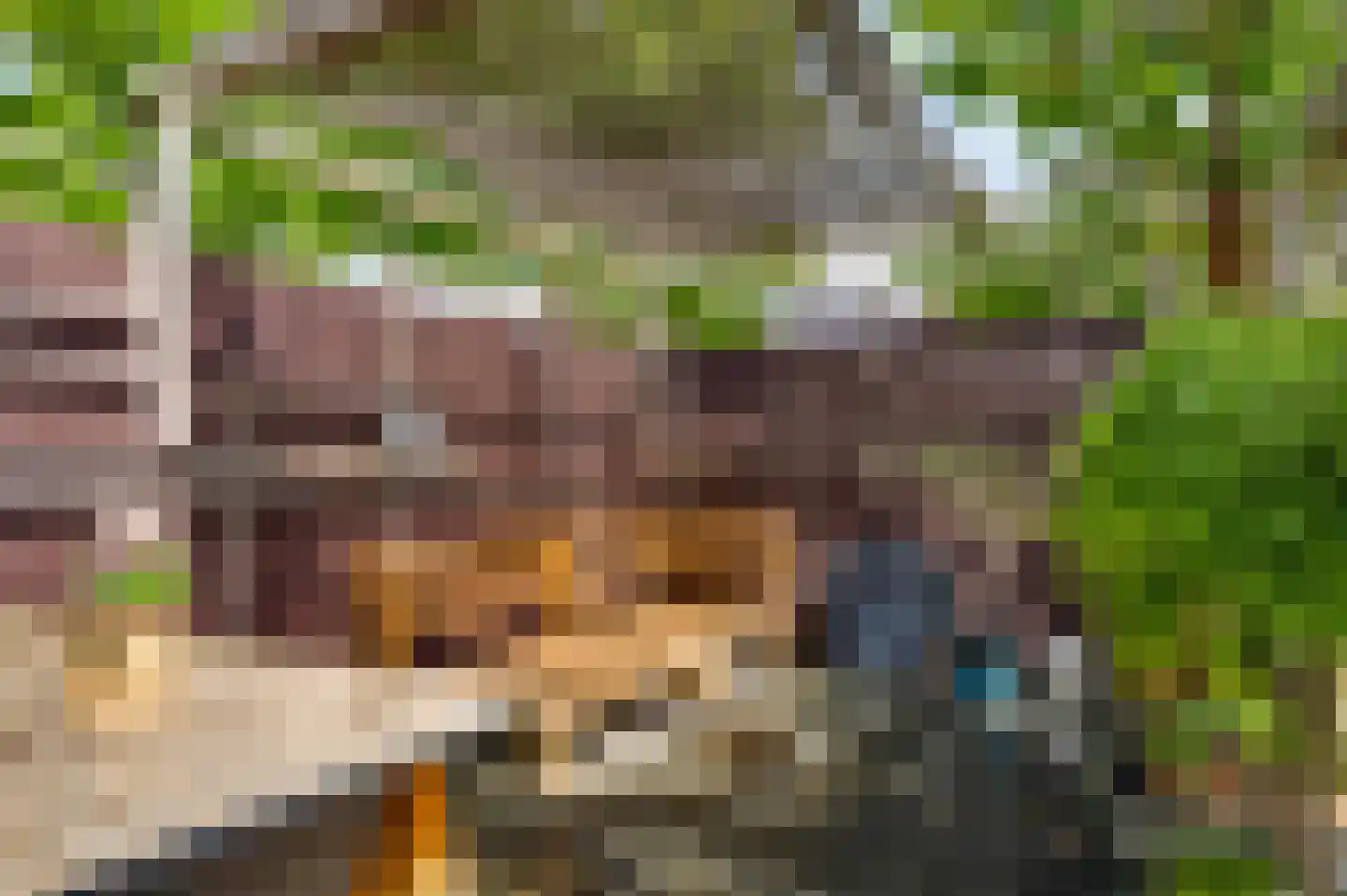 Brunenberghof 7 Weert thumbnail 32