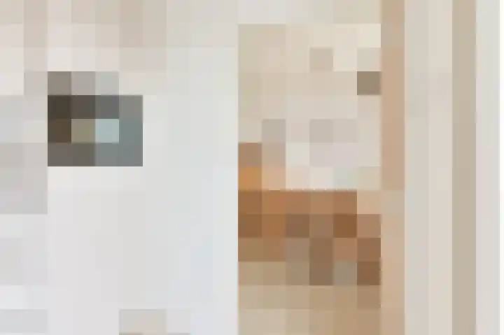 Bruningsstraat 17 Nieuwveen thumbnail 32
